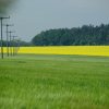 Tour 5: Krumminer Wieck